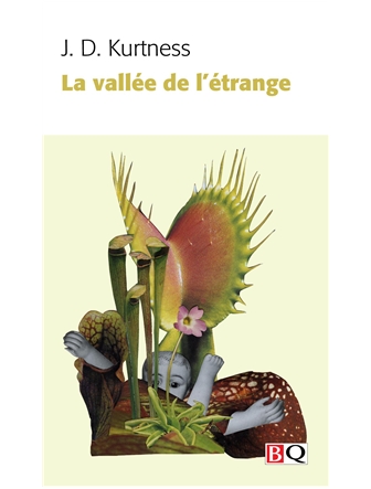 La vallée de l'étrange